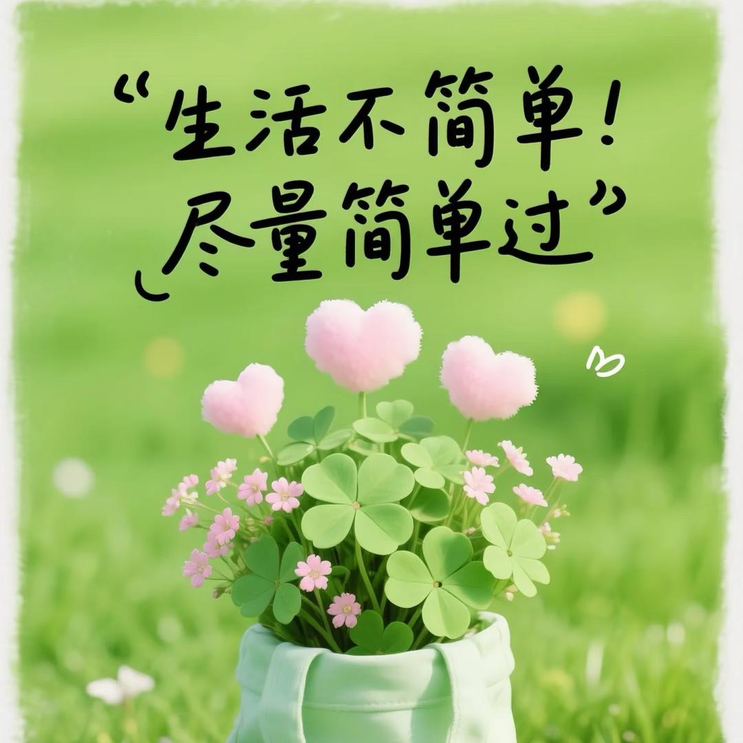 @宝滢（个案咨询）