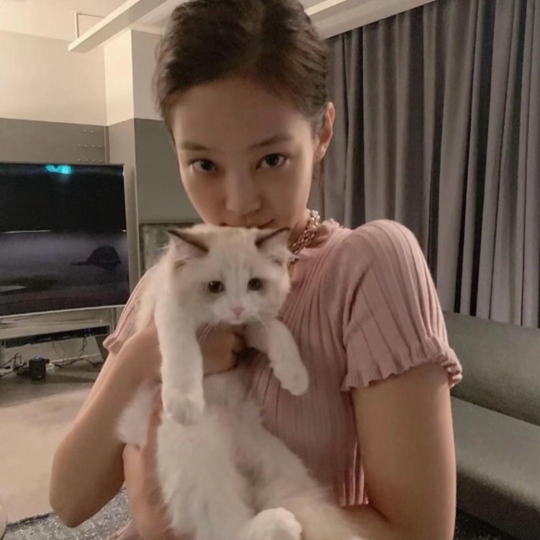 考拉睡不醒-