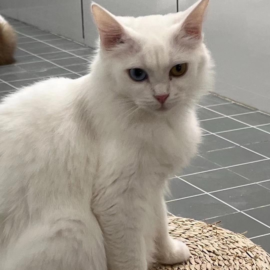 还不是给资本家打工