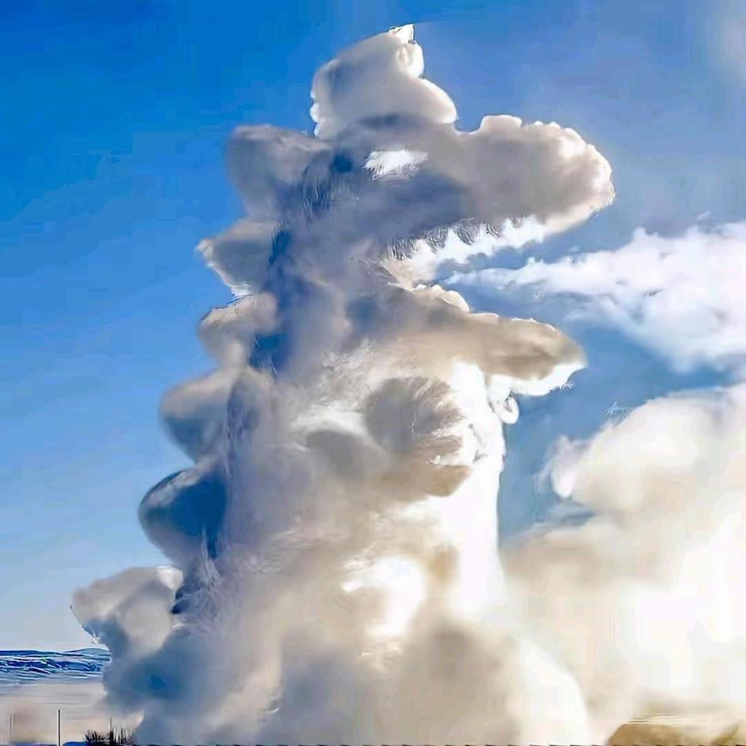 随缘撮鱼