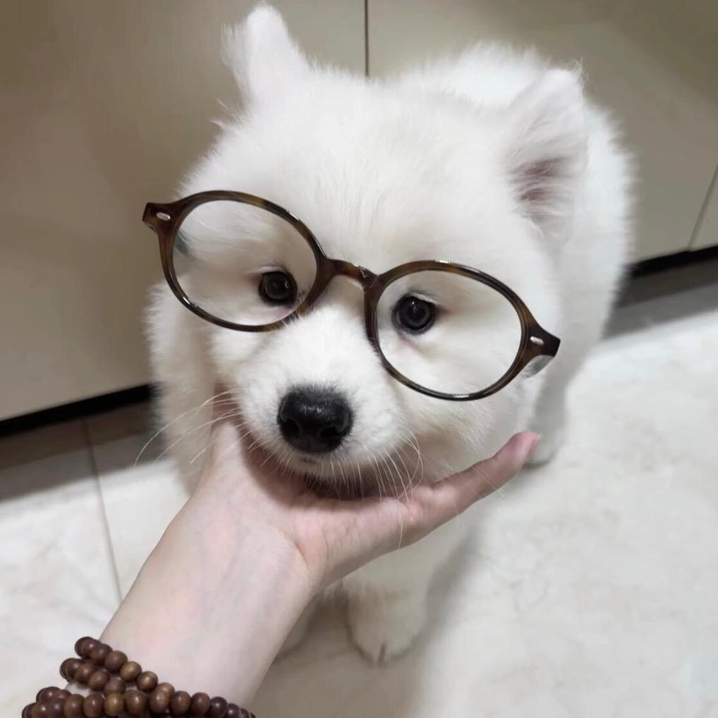媄