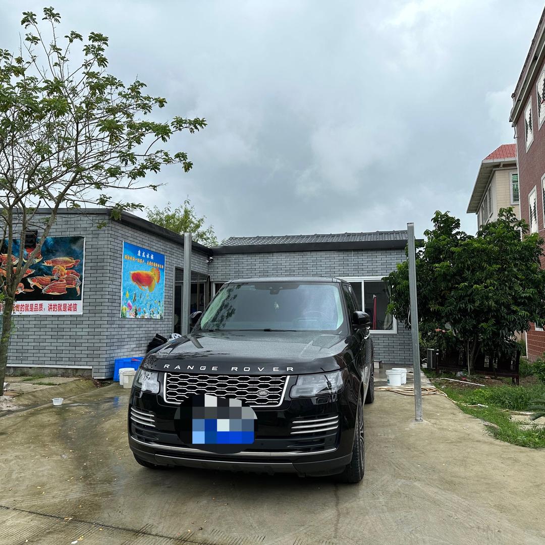 康龍水族龙鱼