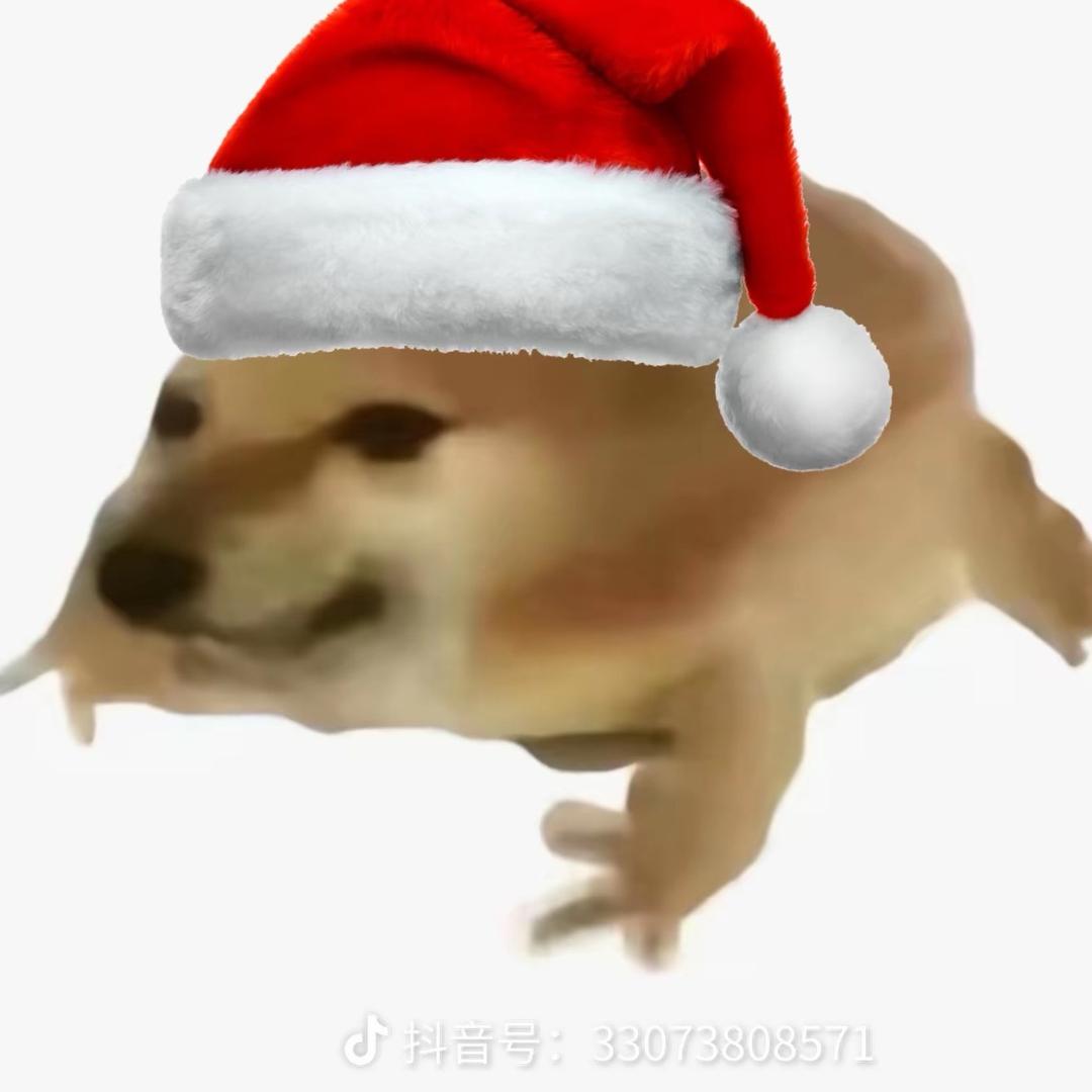 陪小森许个愿#49600