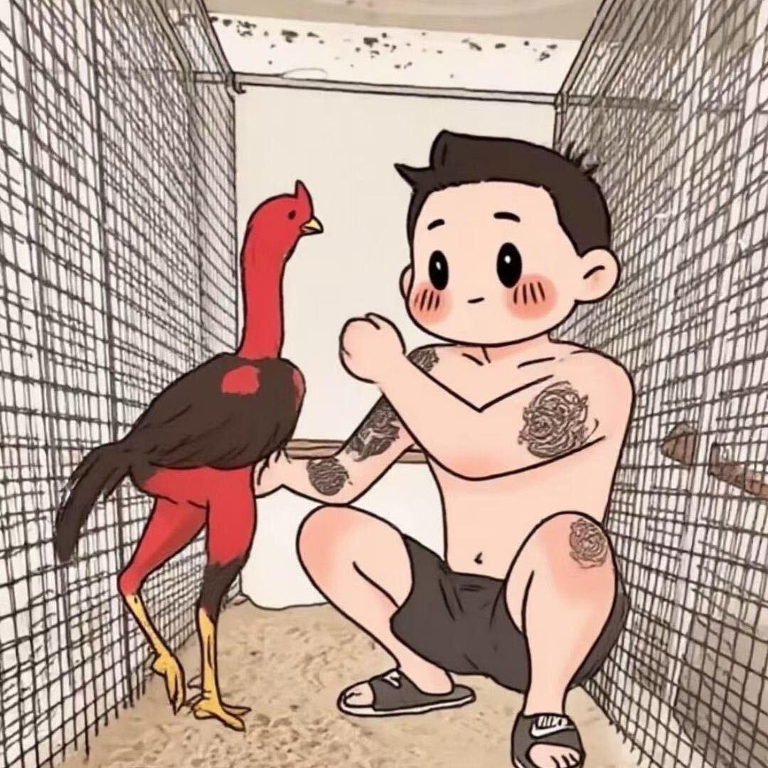 职业生涯 贝爷👺