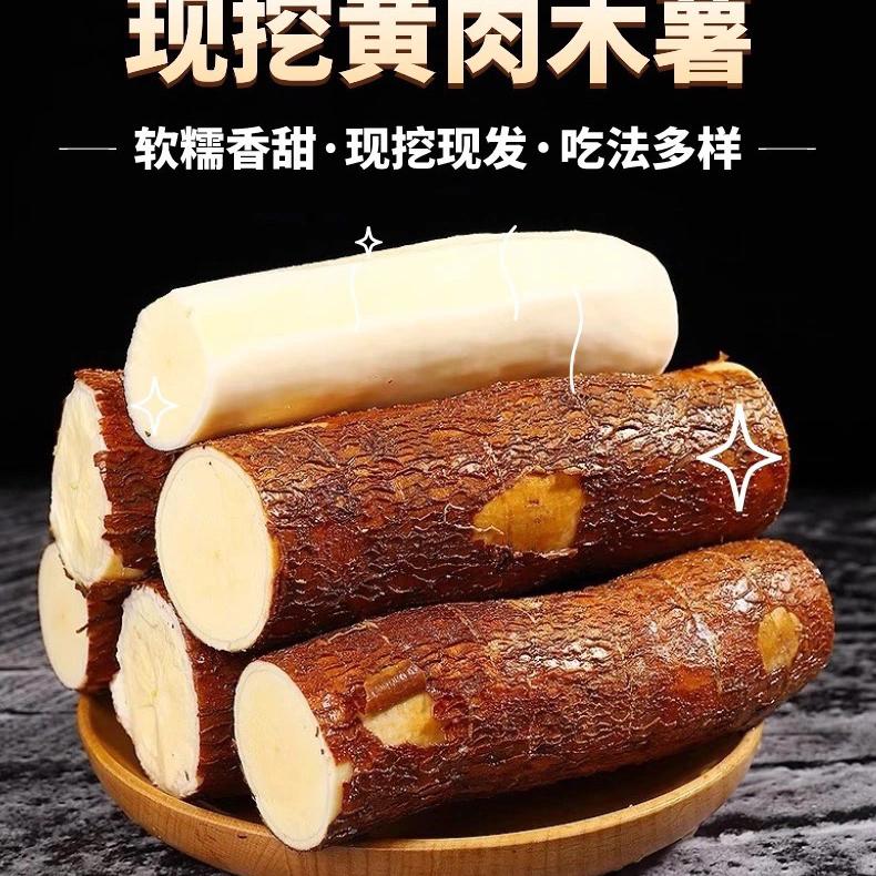 广西灵山木薯供应链