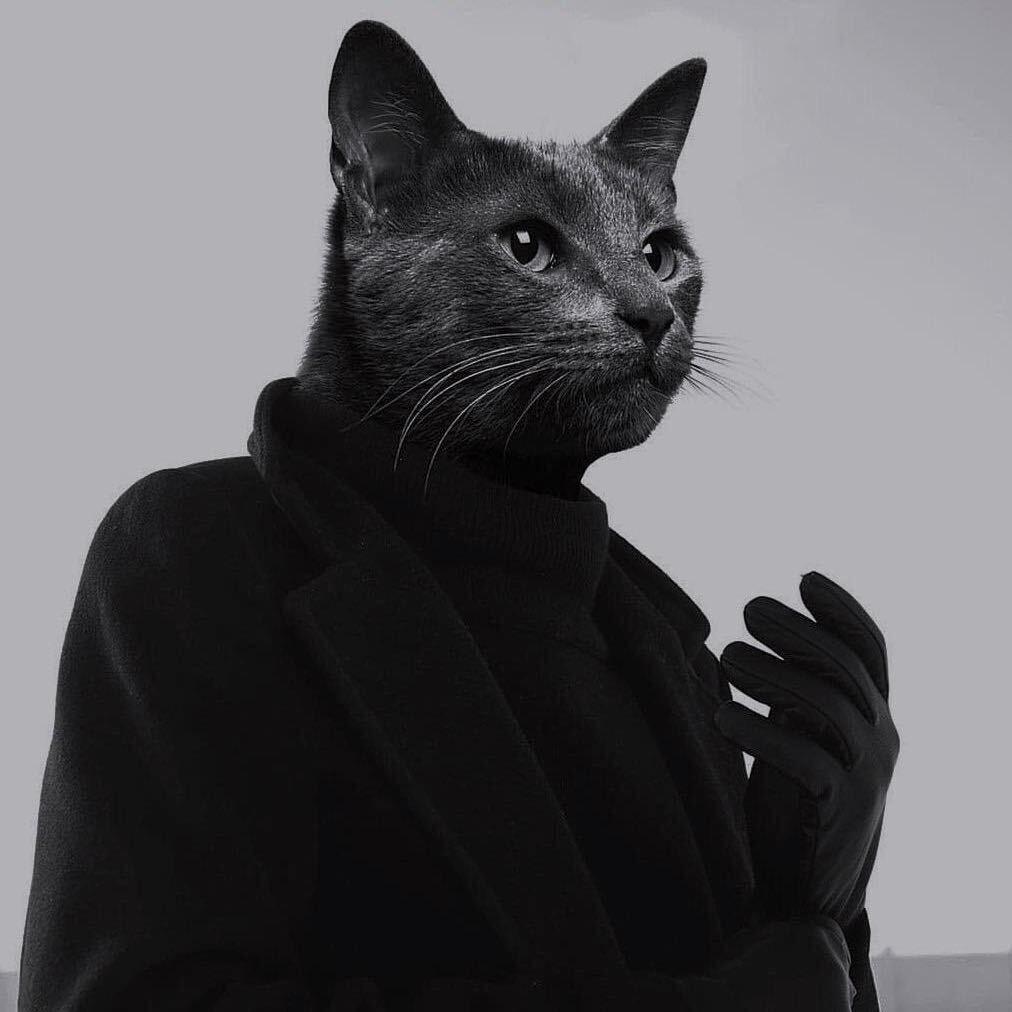 相城区天科数码手机店