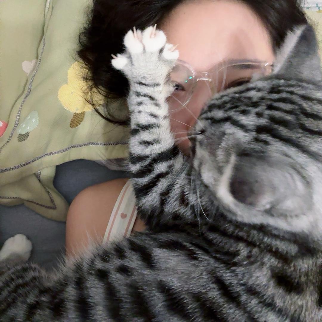 白静怡