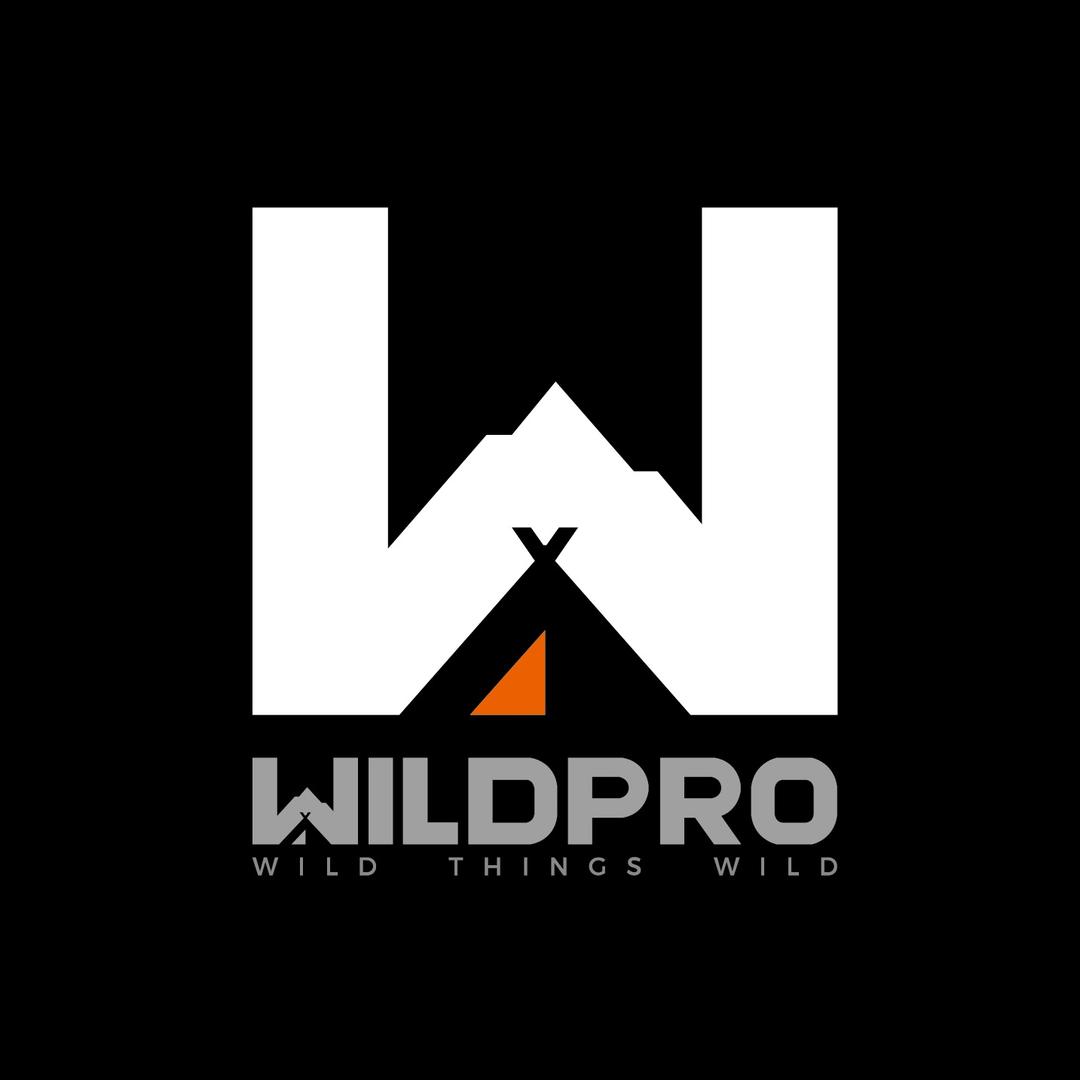 WILDPRO传程汽车科技