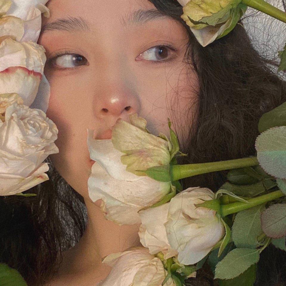 十只熊
