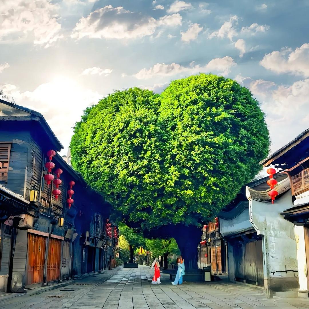 一个玩的很好的朋友