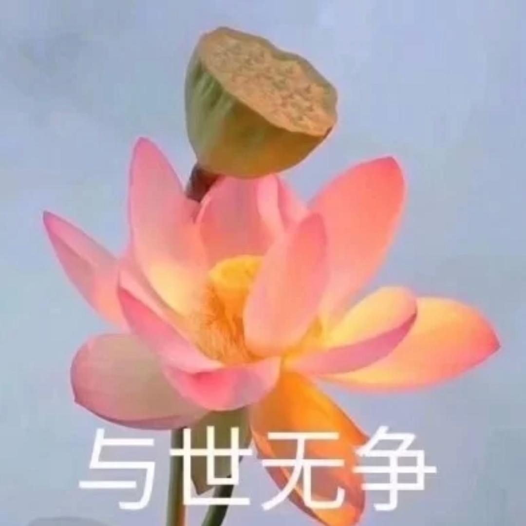 🌈忆谨🫧