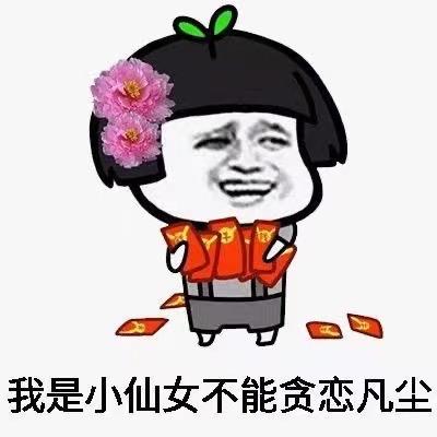 包丸子