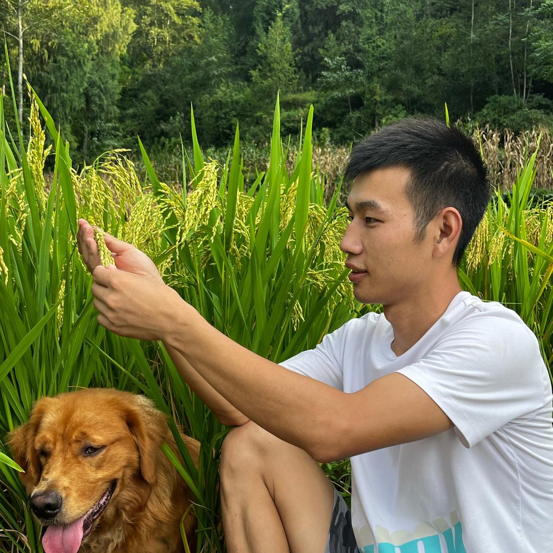 不误正业