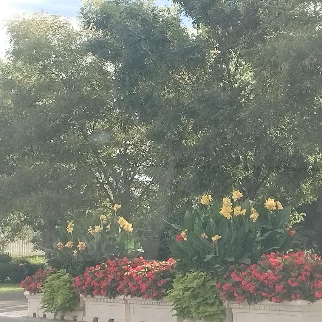 水果批发