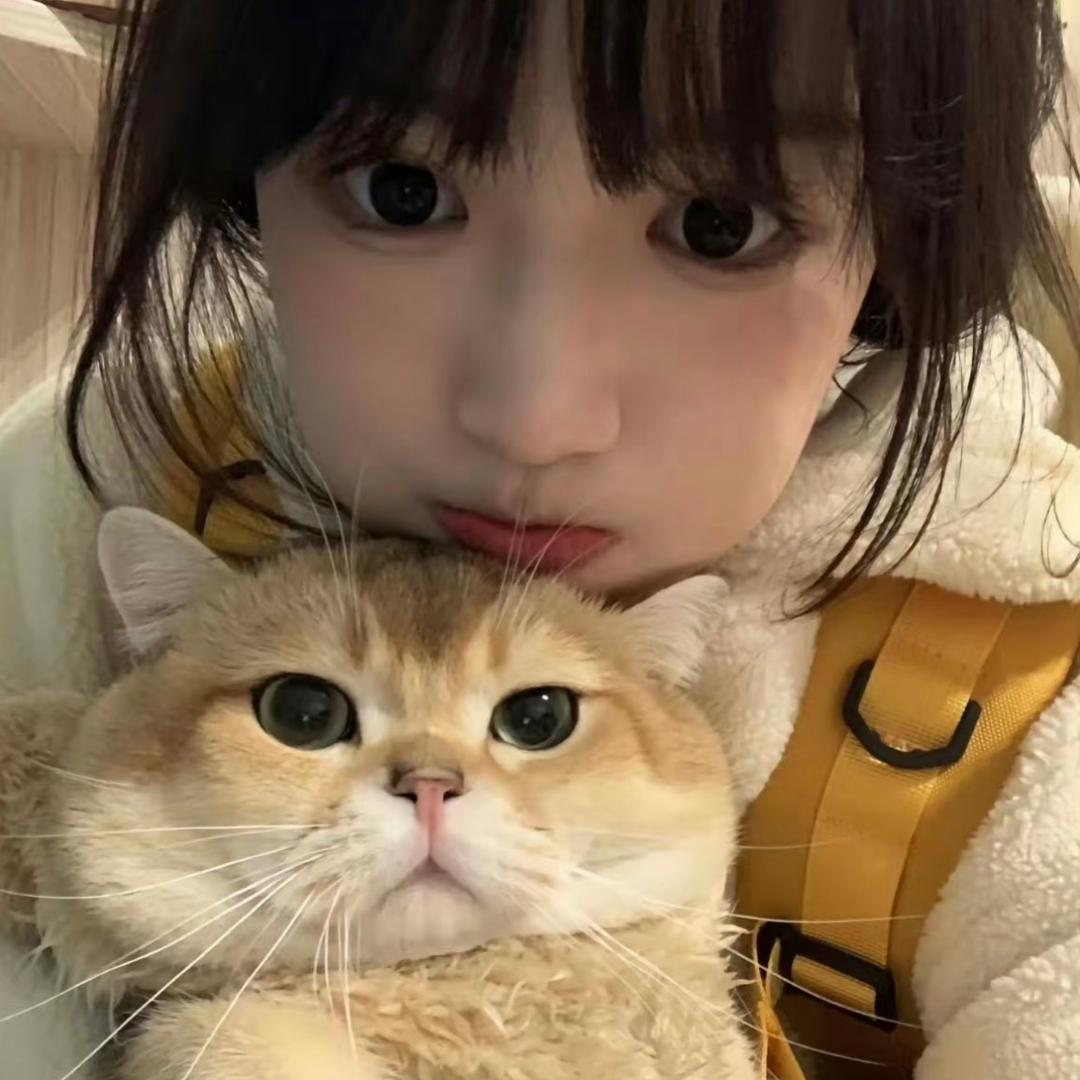懒猫.
