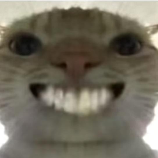跑刀鼠