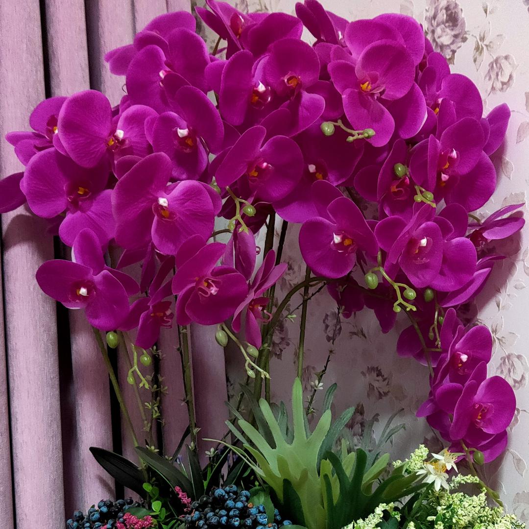 不再年轻的自己