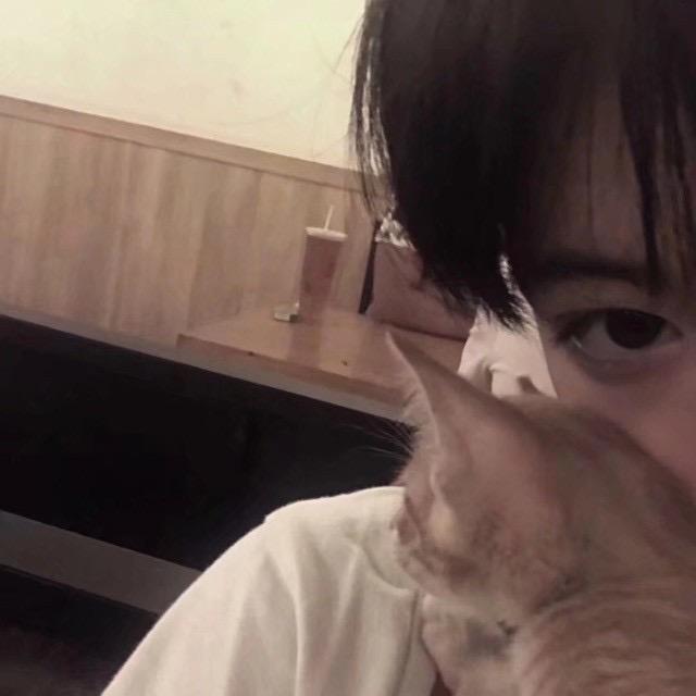 青青草原我最狂我是懒村羊大王