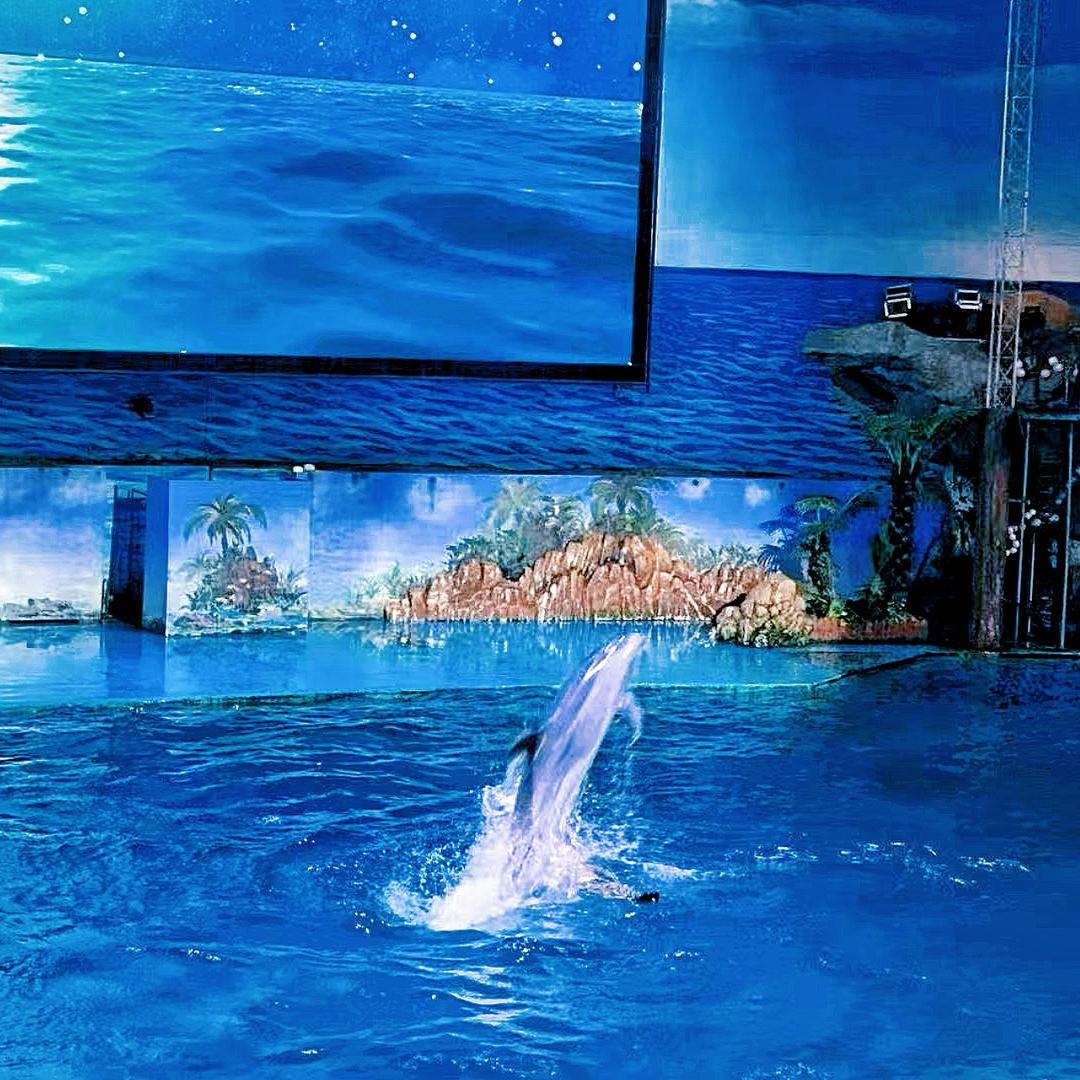 大连旅游（本地生活推荐官）