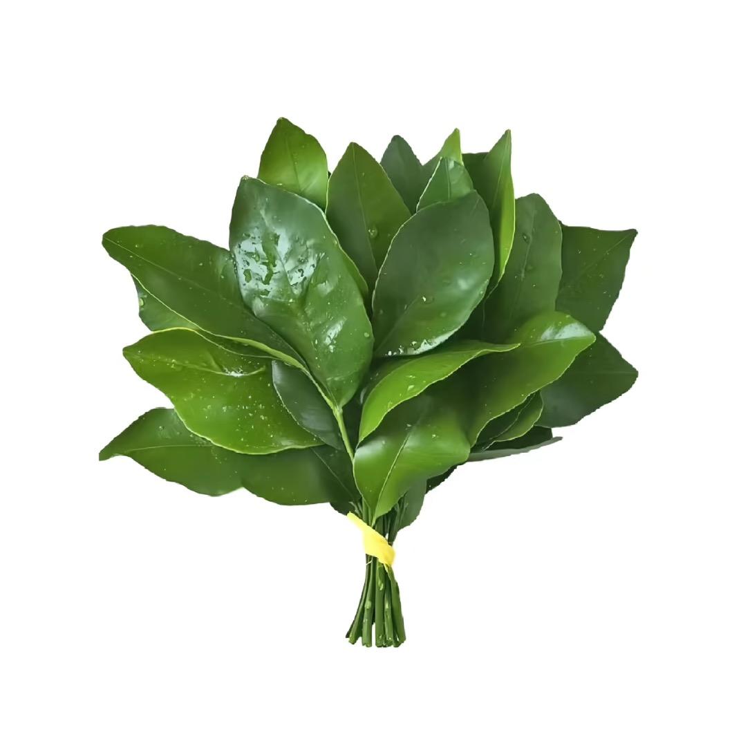 指纹