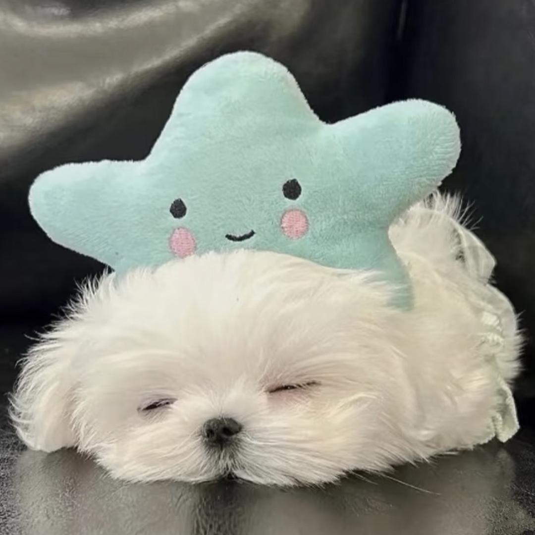 Re🛸