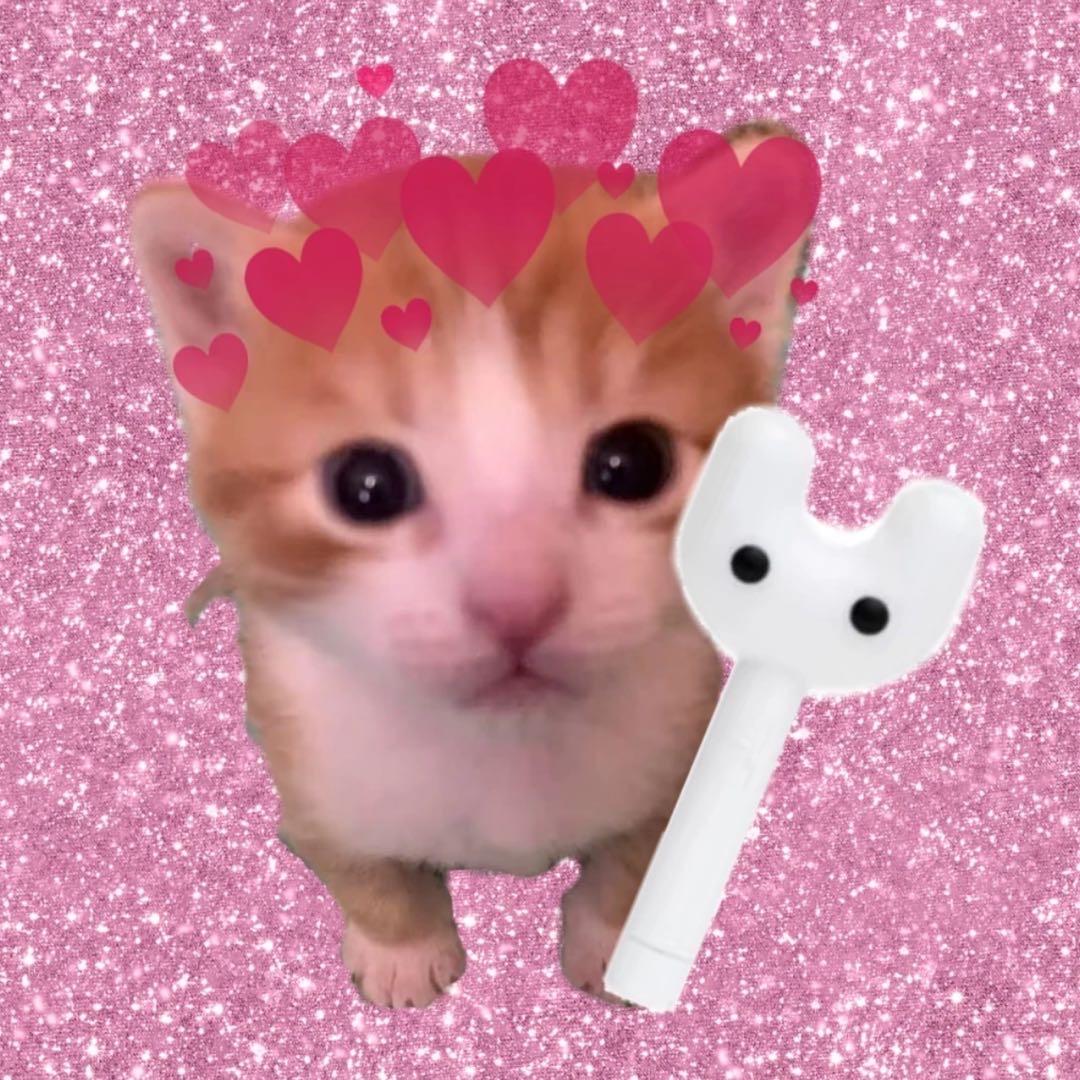 草莓大虾要早睡早起好好学习