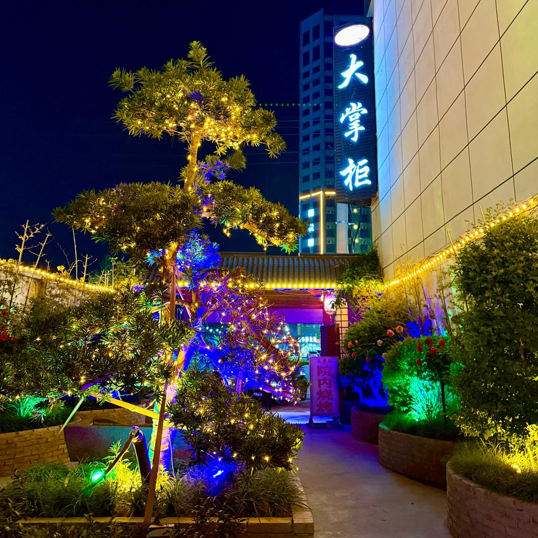 大掌柜烧烤师阿波