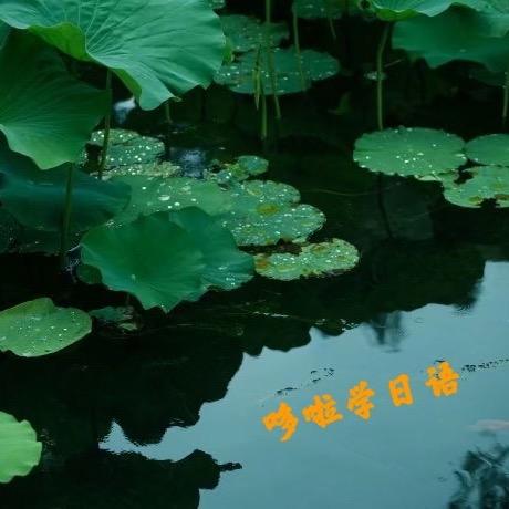 哆啦学日语