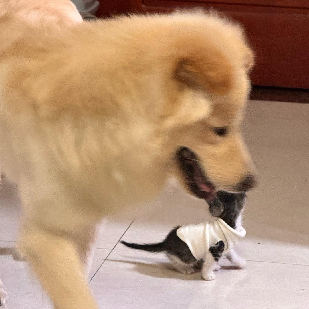 十月悠米