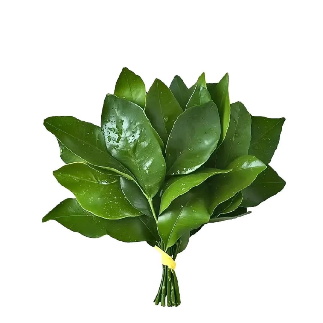 分析出