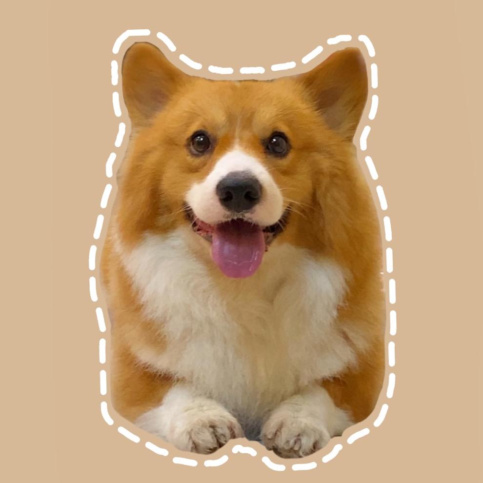 赵赵的元宝