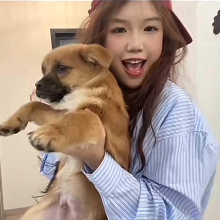 小美の拾汪日记