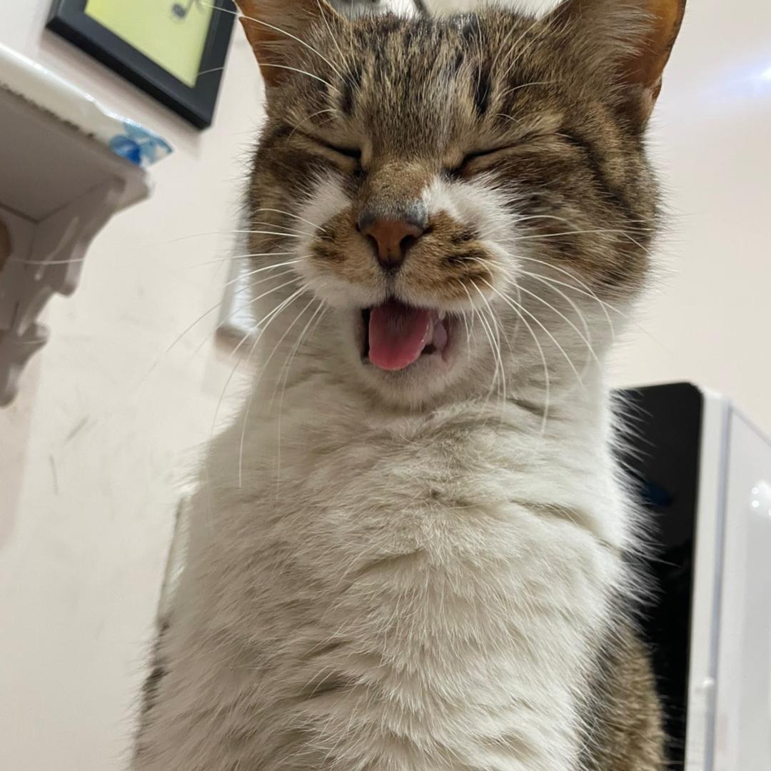 睡裤长在我身上