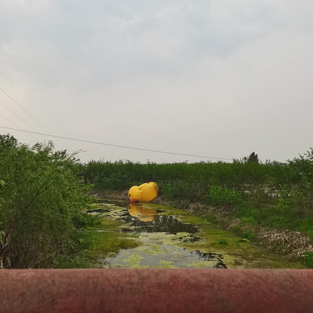 用户12684384611