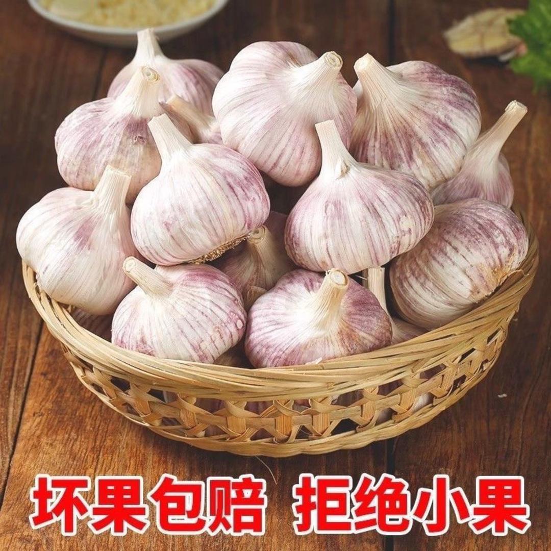 田园香之农产品