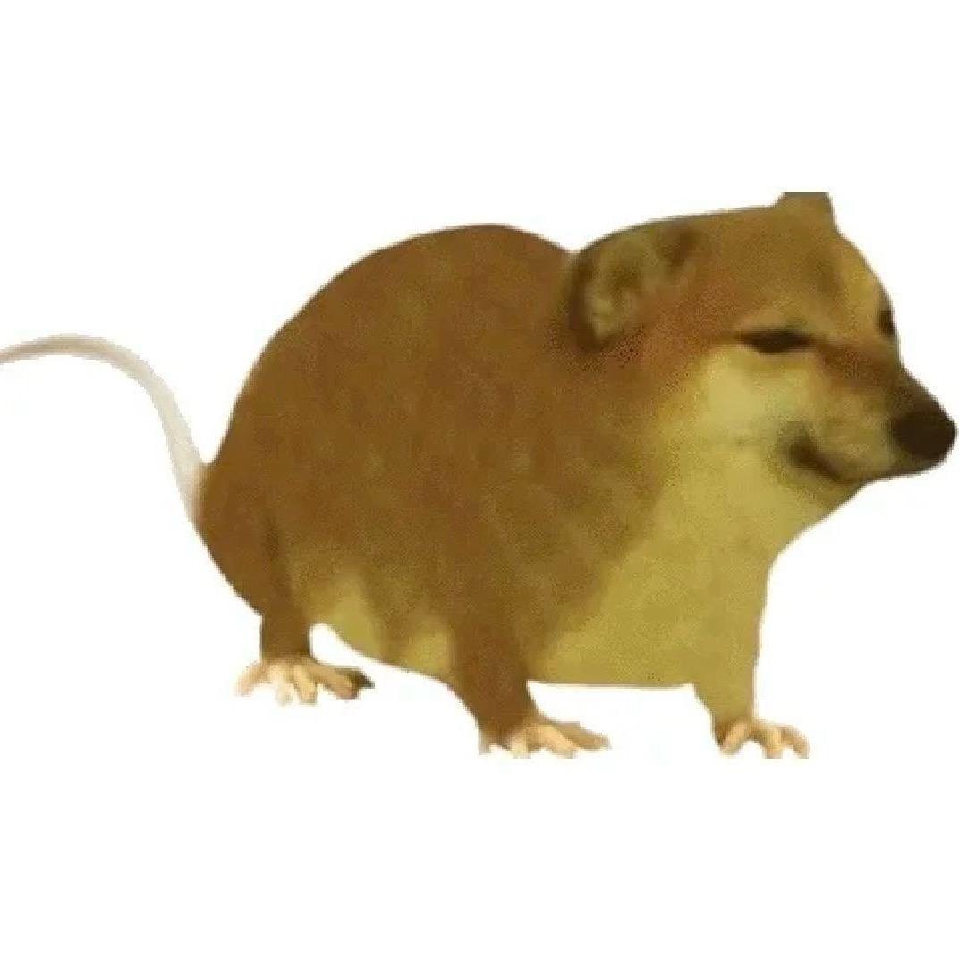 A喜欢上门通厕所的张师傅