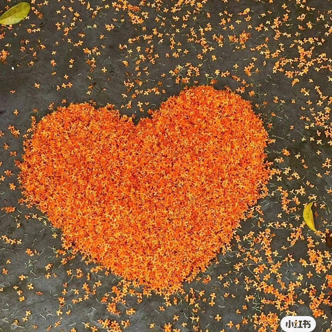 靜靜的靜