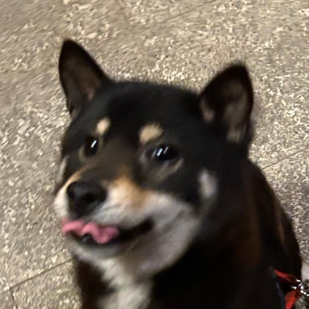撒手