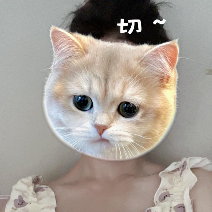 睡眠艺术家