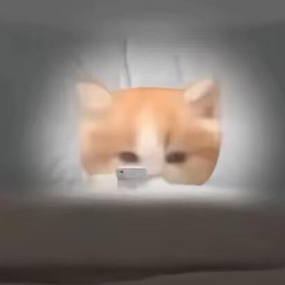 ՞˶˃ ᵕ ˂˶՞ಣ