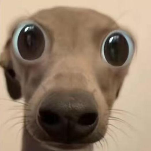 李某某