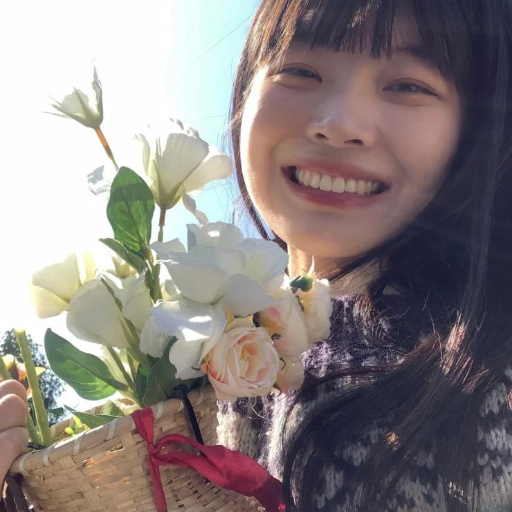 🐟圈最后的倔强