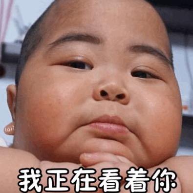 老高家代表队