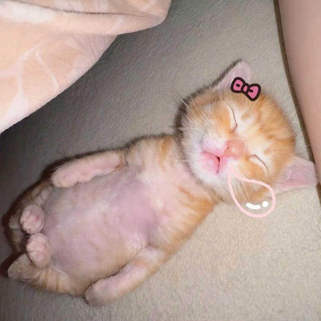 睡个懒觉