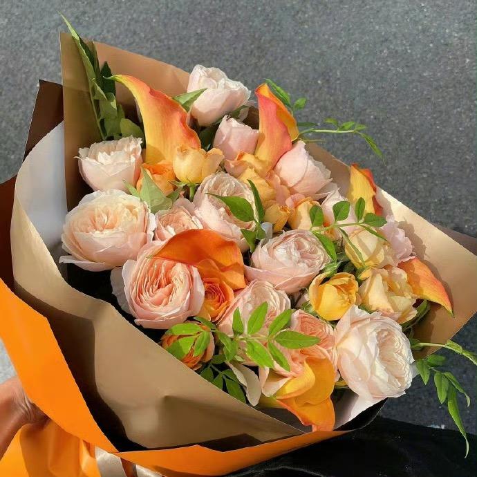 大吉大利 随荣挡风被厂家