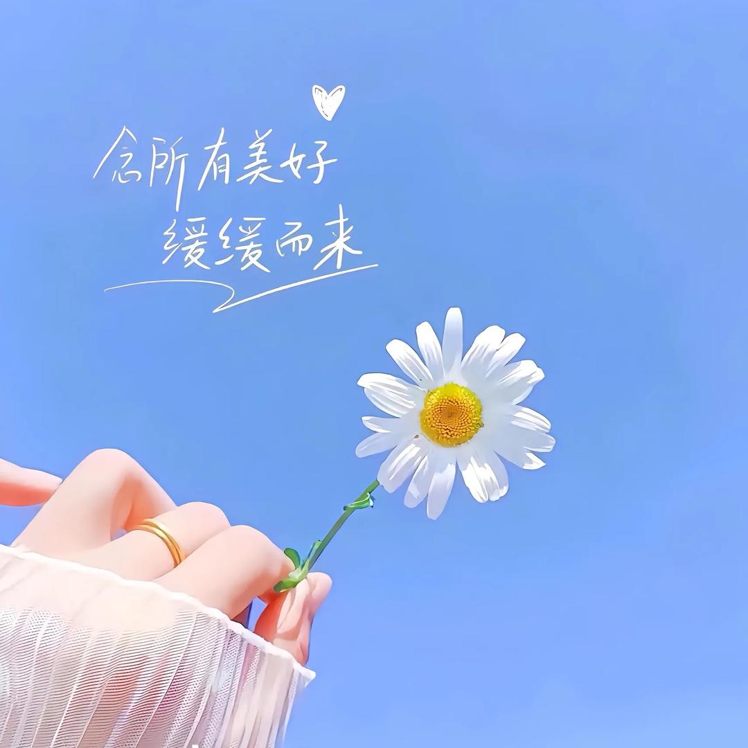 小柒清货号