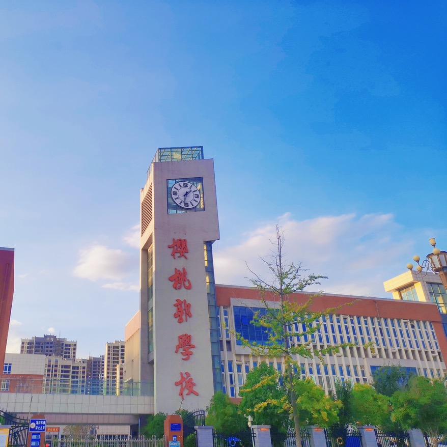 临颍县樱桃郭学校