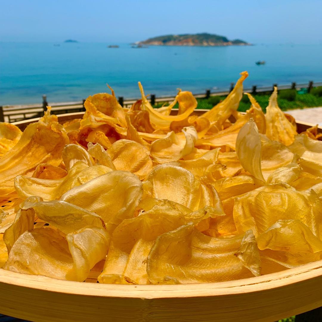 南澳赤嘴白花专业农业合作社