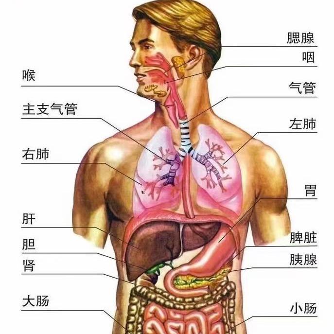 陈年王氏