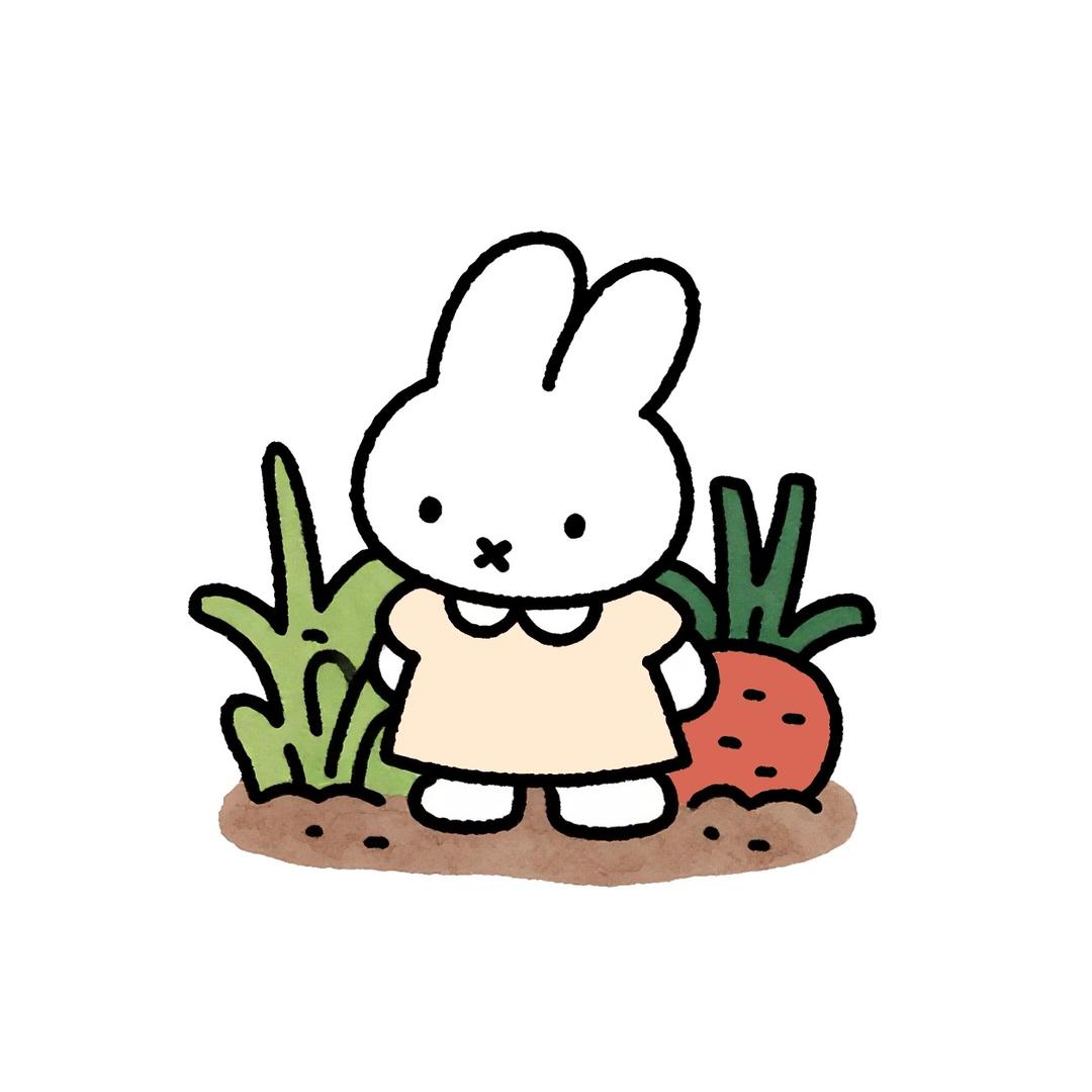萝卜🥕